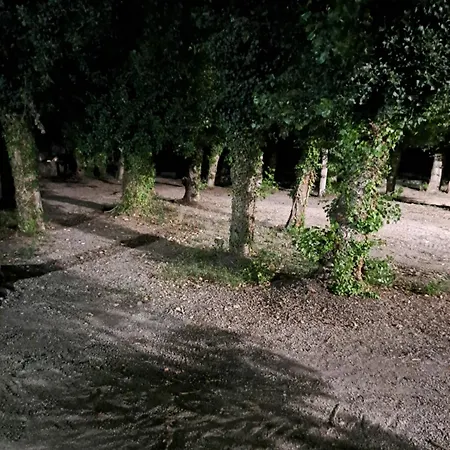 Campsite Valle Del Andarax *
