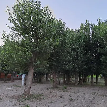 Valle Del Andarax Campsite