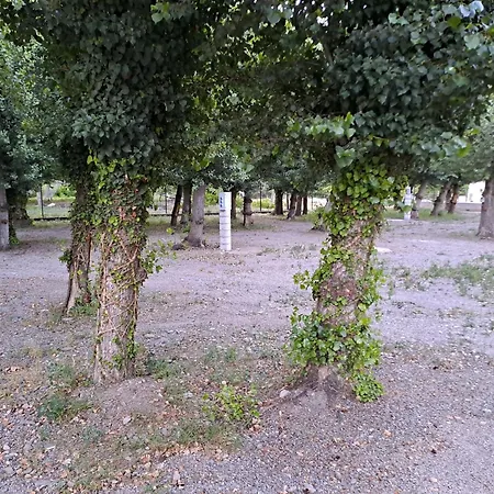 Valle Del Andarax Campsite Fondon